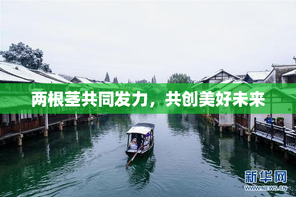 两根茎共同发力，共创美好未来