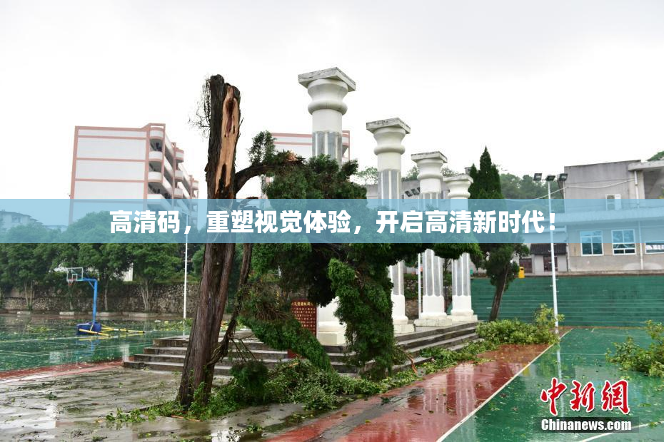 高清码，重塑视觉体验，开启高清新时代！