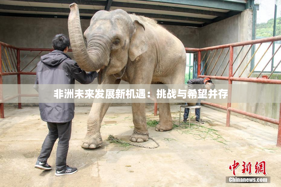 非洲未来发展新机遇：挑战与希望并存