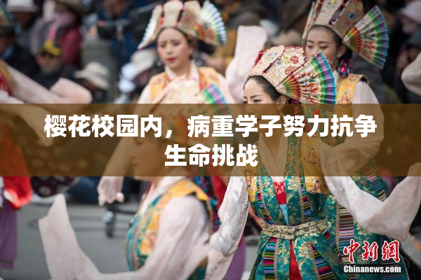 樱花校园内，病重学子努力抗争生命挑战