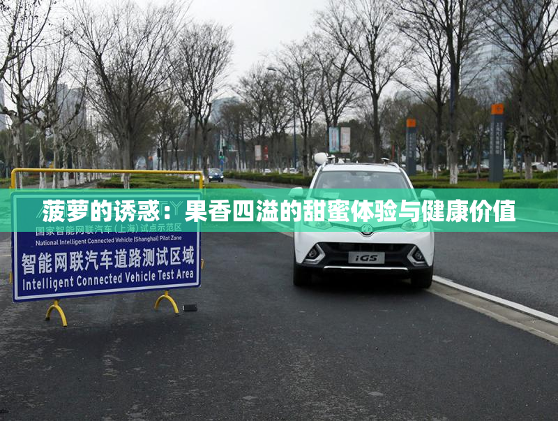 菠萝的诱惑：果香四溢的甜蜜体验与健康价值