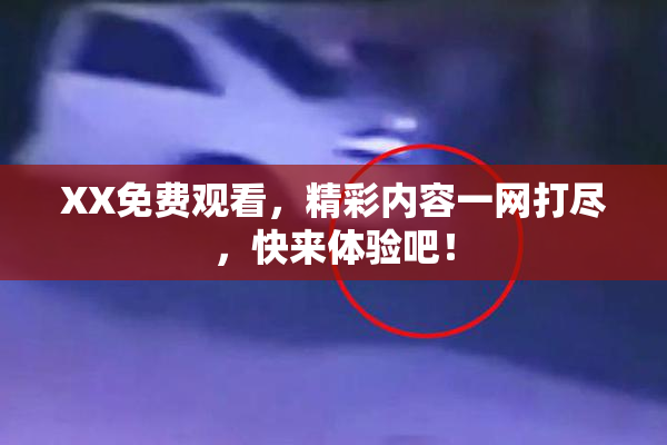 XX免费观看，精彩内容一网打尽，快来体验吧！
