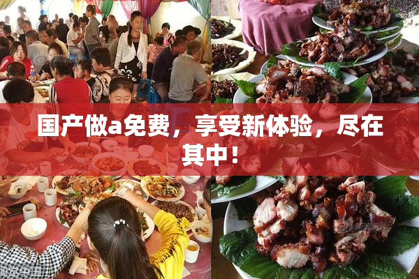 国产做a免费，享受新体验，尽在其中！