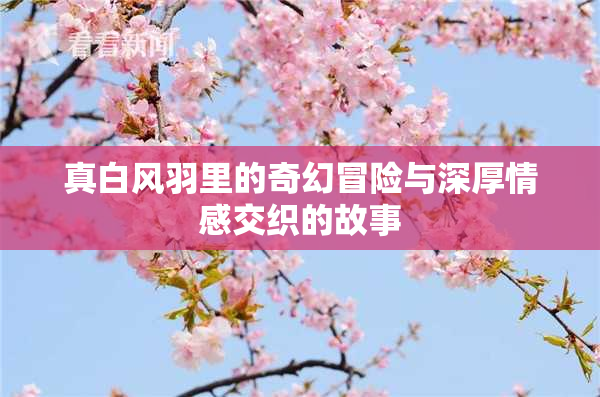 真白风羽里的奇幻冒险与深厚情感交织的故事