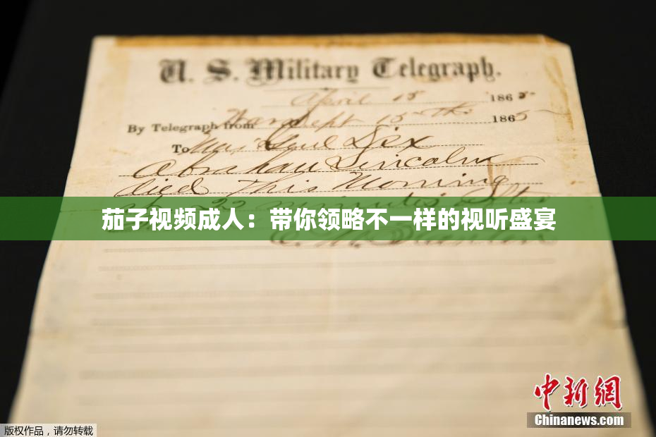 茄子视频成人：带你领略不一样的视听盛宴