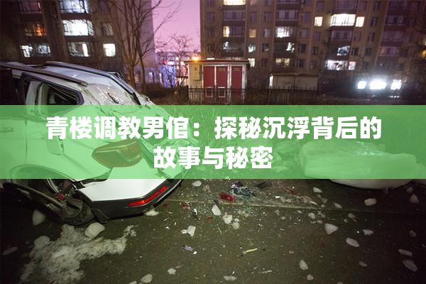 青楼调教男倌：探秘沉浮背后的故事与秘密