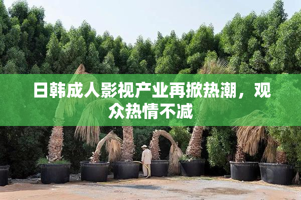 日韩成人影视产业再掀热潮，观众热情不减