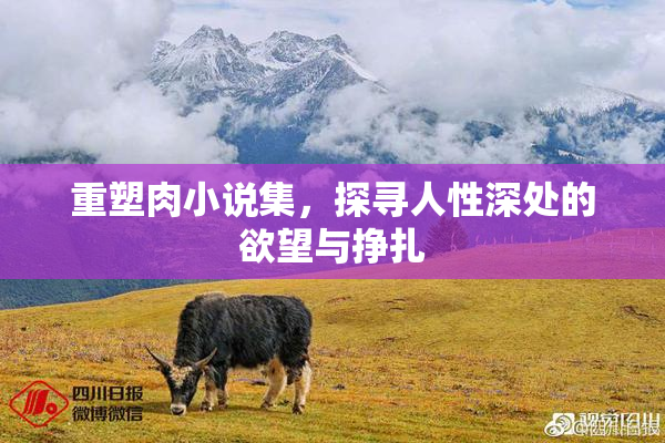 重塑肉小说集，探寻人性深处的欲望与挣扎