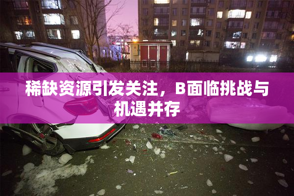 稀缺资源引发关注，B面临挑战与机遇并存
