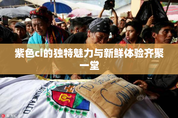紫色ci的独特魅力与新鲜体验齐聚一堂