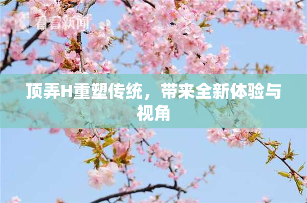 顶弄H重塑传统，带来全新体验与视角