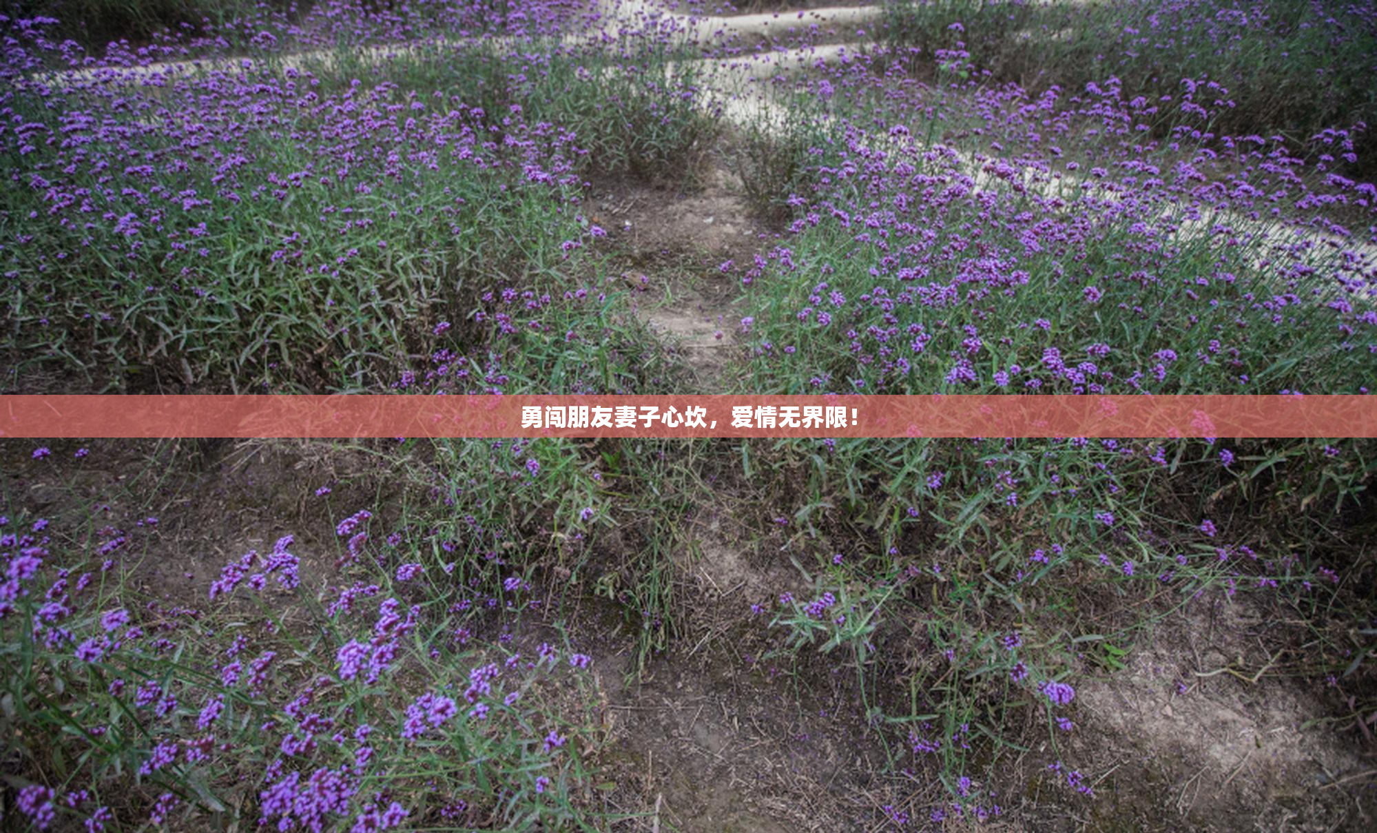 勇闯朋友妻子心坎，爱情无界限！