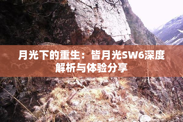 月光下的重生：皆月光SW6深度解析与体验分享