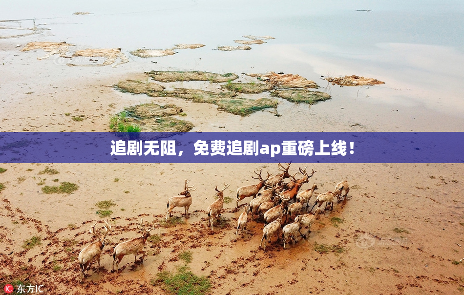 追剧无阻，免费追剧ap重磅上线！
