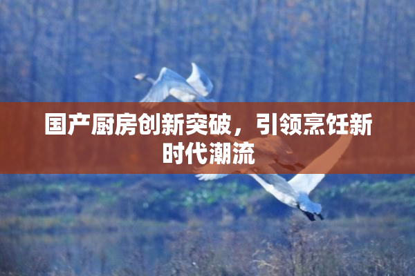 国产厨房创新突破，引领烹饪新时代潮流