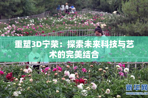 重塑3D宁荣：探索未来科技与艺术的完美结合