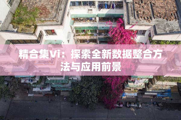 精合集Vi：探索全新数据整合方法与应用前景