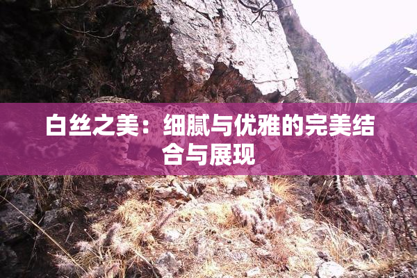 白丝之美：细腻与优雅的完美结合与展现