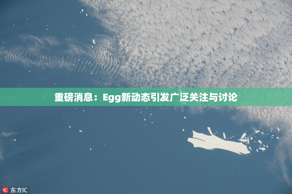 重磅消息：Egg新动态引发广泛关注与讨论