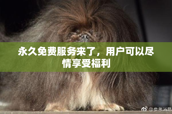 永久免费服务来了，用户可以尽情享受福利