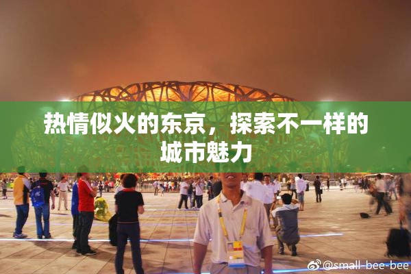 热情似火的东京，探索不一样的城市魅力