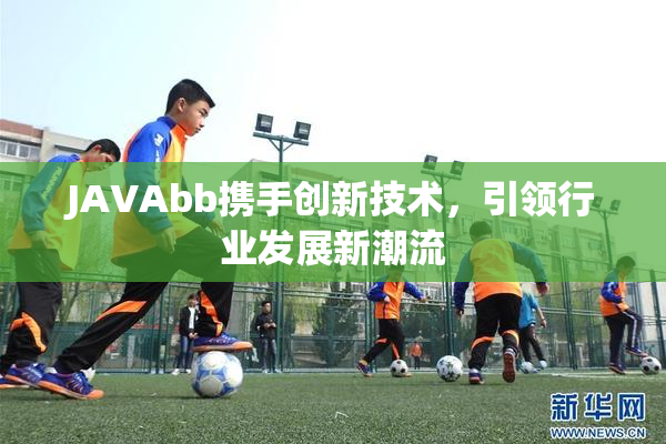 JAVAbb携手创新技术，引领行业发展新潮流