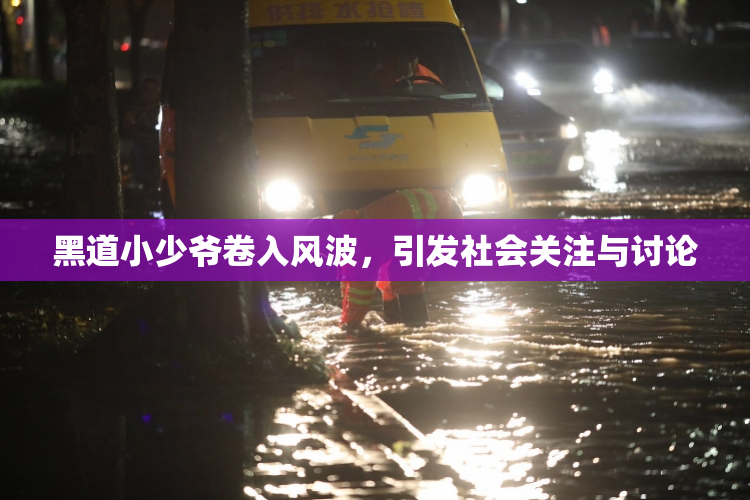 黑道小少爷卷入风波，引发社会关注与讨论