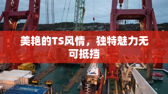 美艳的TS风情，独特魅力无可抵挡