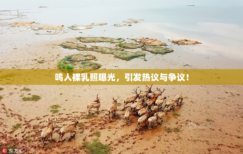 鸣人裸乳照曝光，引发热议与争议！