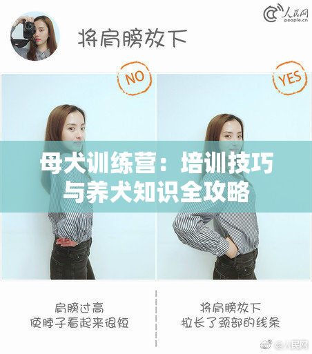 母犬训练营：培训技巧与养犬知识全攻略