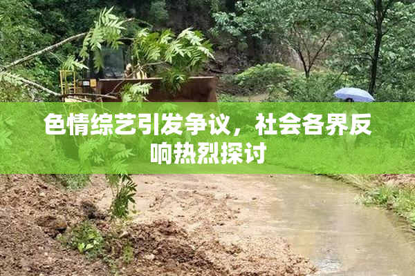 色情综艺引发争议，社会各界反响热烈探讨