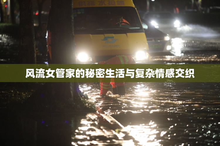 风流女管家的秘密生活与复杂情感交织