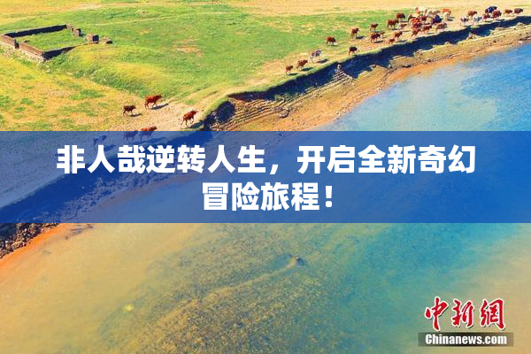 非人哉逆转人生，开启全新奇幻冒险旅程！