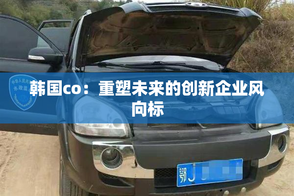 韩国co：重塑未来的创新企业风向标