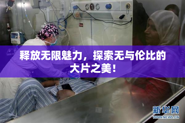 释放无限魅力，探索无与伦比的大片之美！
