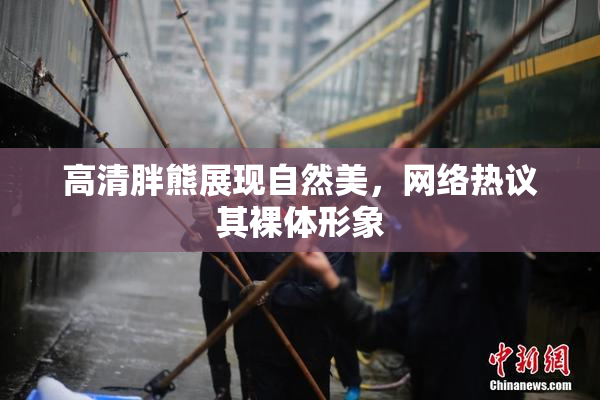 高清胖熊展现自然美，网络热议其裸体形象