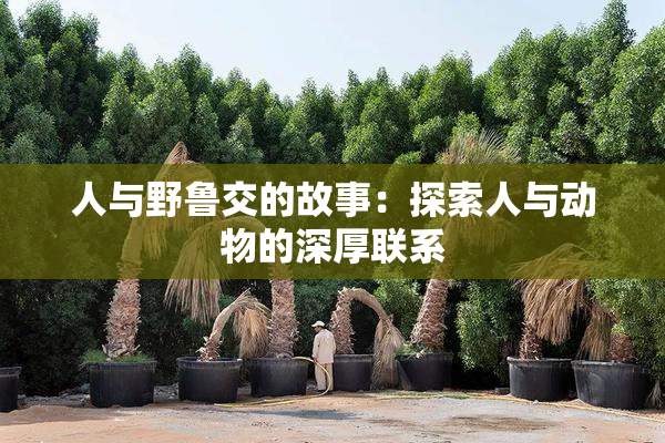 人与野鲁交的故事：探索人与动物的深厚联系