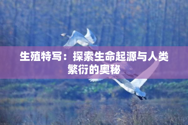 生殖特写：探索生命起源与人类繁衍的奥秘