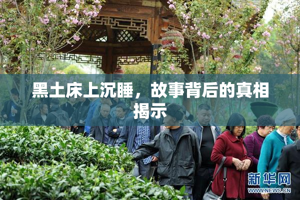 黑土床上沉睡，故事背后的真相揭示
