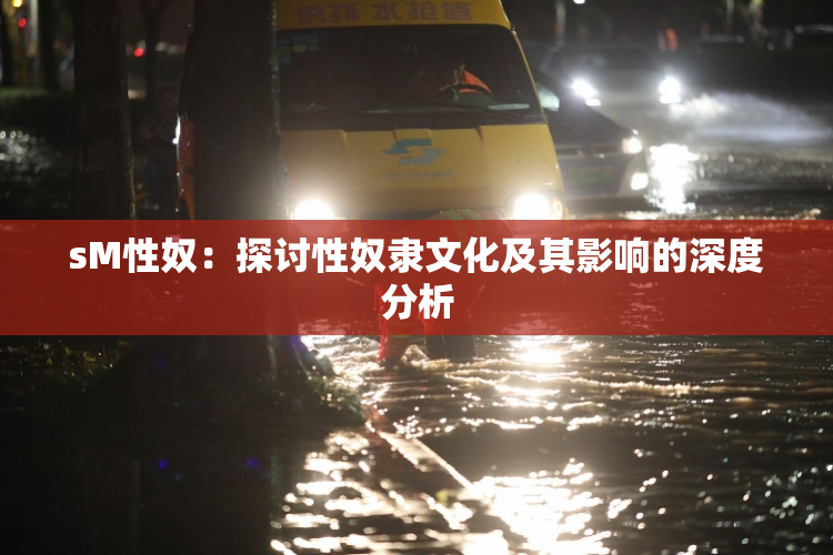 sM性奴：探讨性奴隶文化及其影响的深度分析