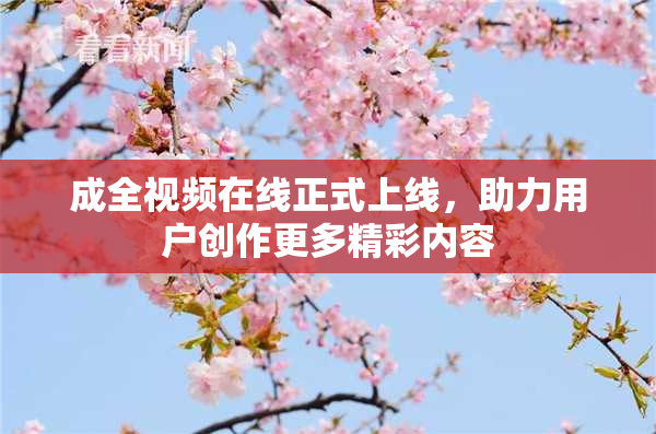 成全视频在线正式上线，助力用户创作更多精彩内容