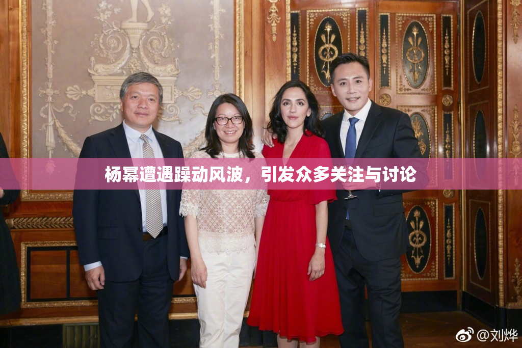 杨幂遭遇躁动风波，引发众多关注与讨论