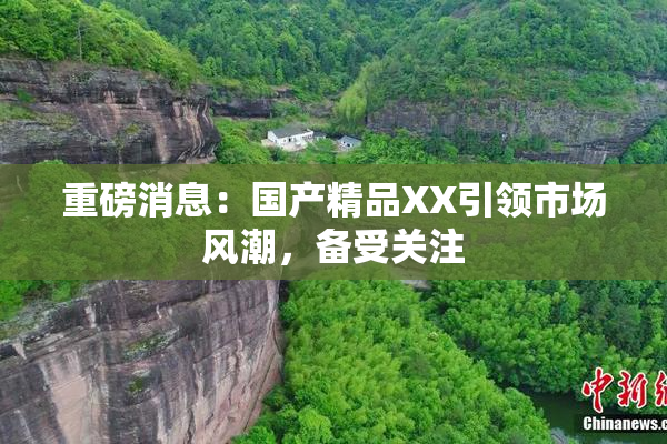 重磅消息：国产精品XX引领市场风潮，备受关注