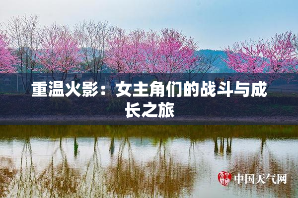重温火影：女主角们的战斗与成长之旅