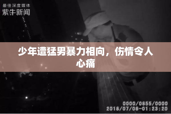 少年遭猛男暴力相向，伤情令人心痛