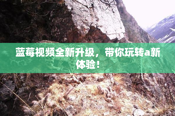 蓝莓视频全新升级，带你玩转a新体验！