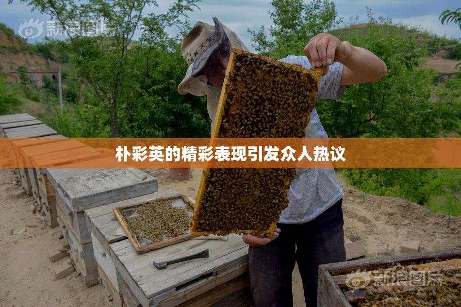朴彩英的精彩表现引发众人热议