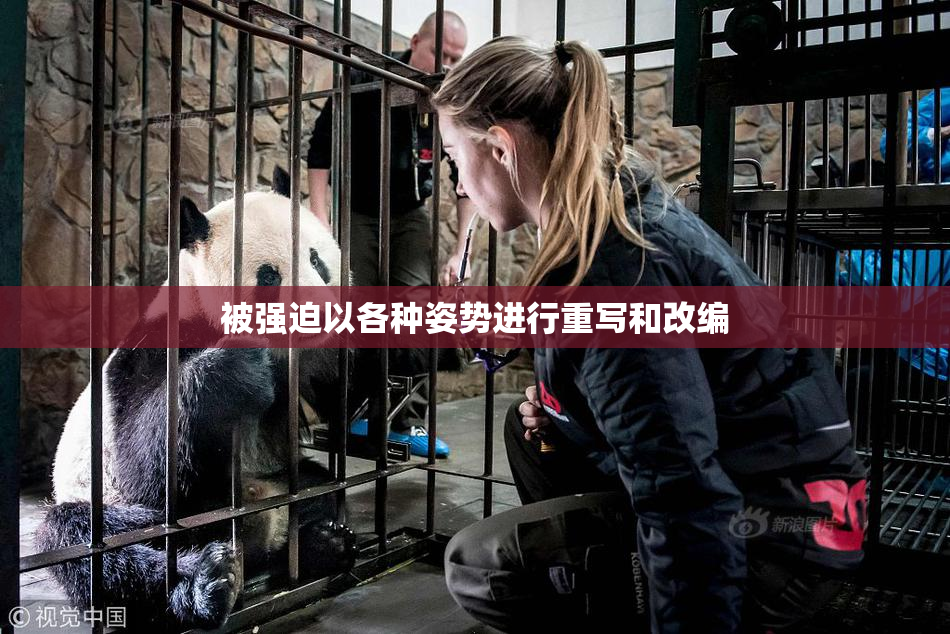 被强迫以各种姿势进行重写和改编