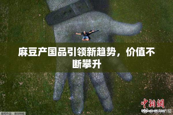 麻豆产国品引领新趋势，价值不断攀升