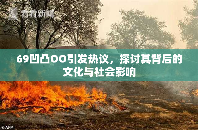 69凹凸OO引发热议，探讨其背后的文化与社会影响